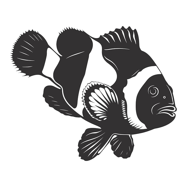 Vector silhouette clownfish black color only full body