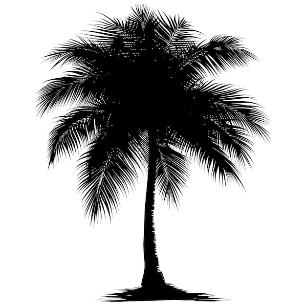 Silhouette coconut tree black color only