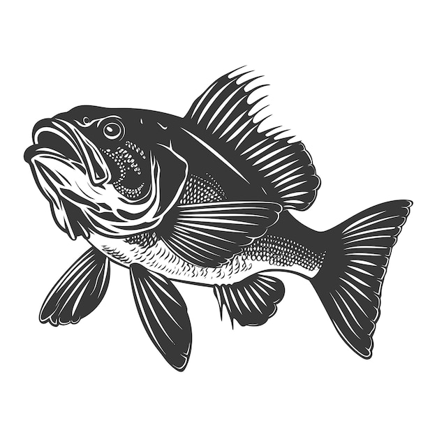 Silhouette Cod Fish animal black color only