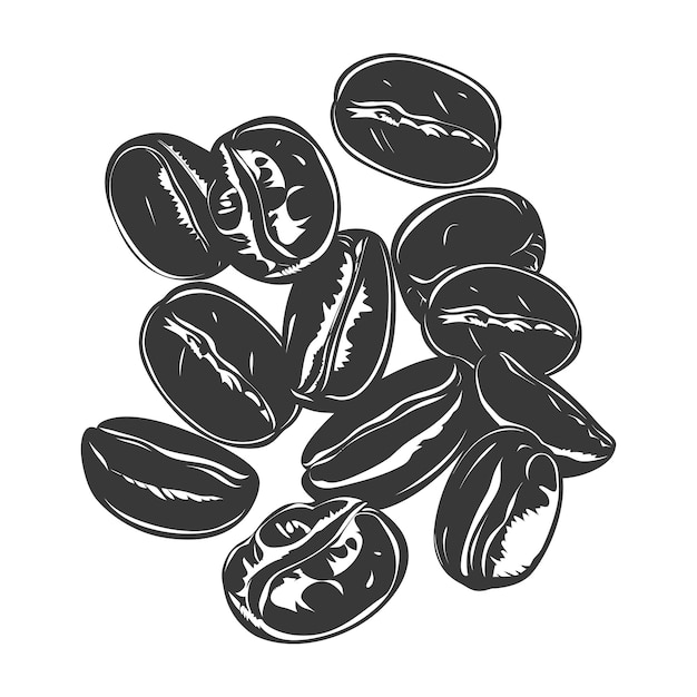 Vector silhouette coffee beans black color only