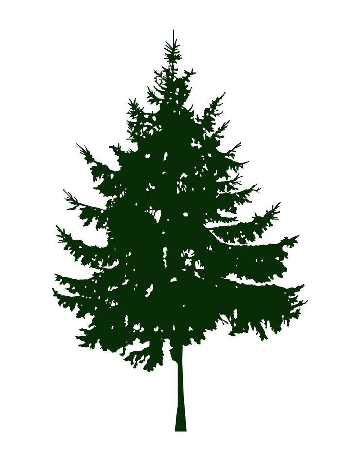 Vector silhouette of coniferous tree can be used as poster badge emblem banner icon sign decor