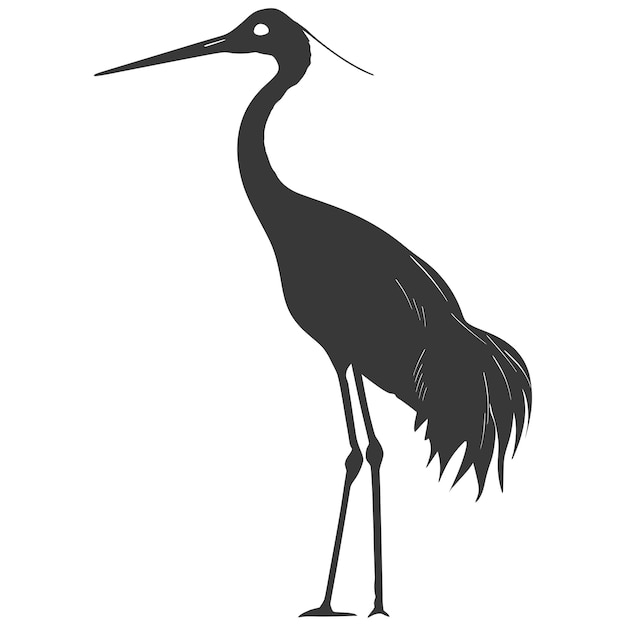 Vettore silhouette gru uccello animale colore nero solo corpo intero