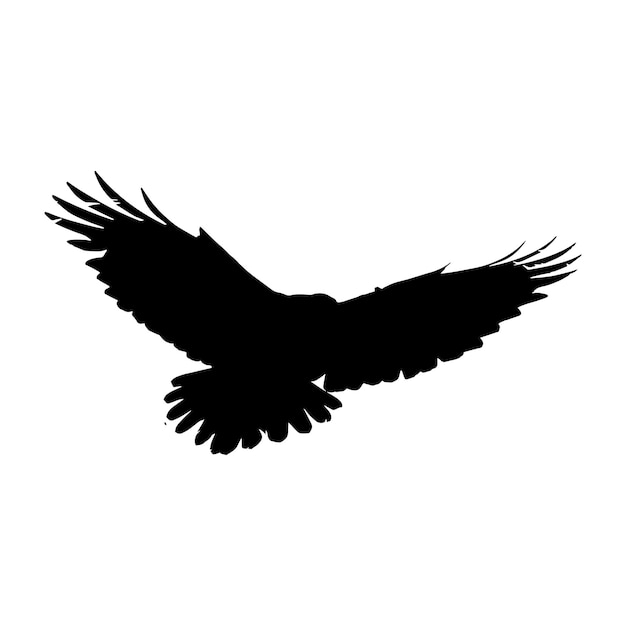 A silhouette of a crow with wings spread