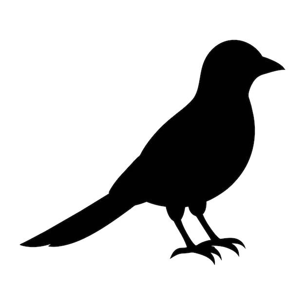 Vector silhouette of a cuckoo bird