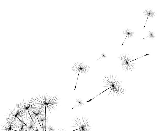 Vector silhouette of a dandelion on a white background