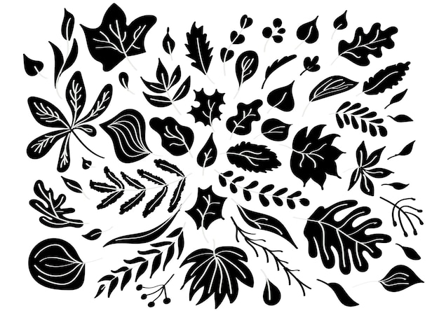 Silhouette of decorative leaves and branches with white veins Isolated vector floral elements
