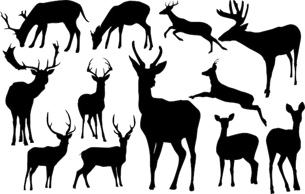 Vector silhouette of deer animal