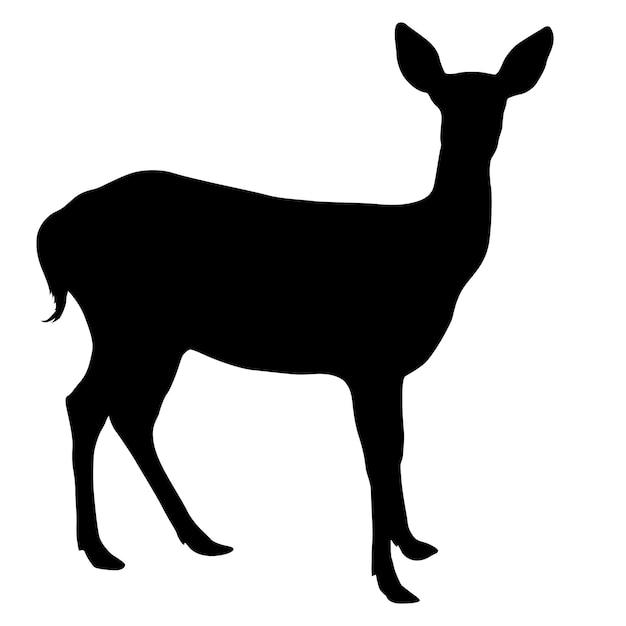 Silhouette deer with great antler on white background