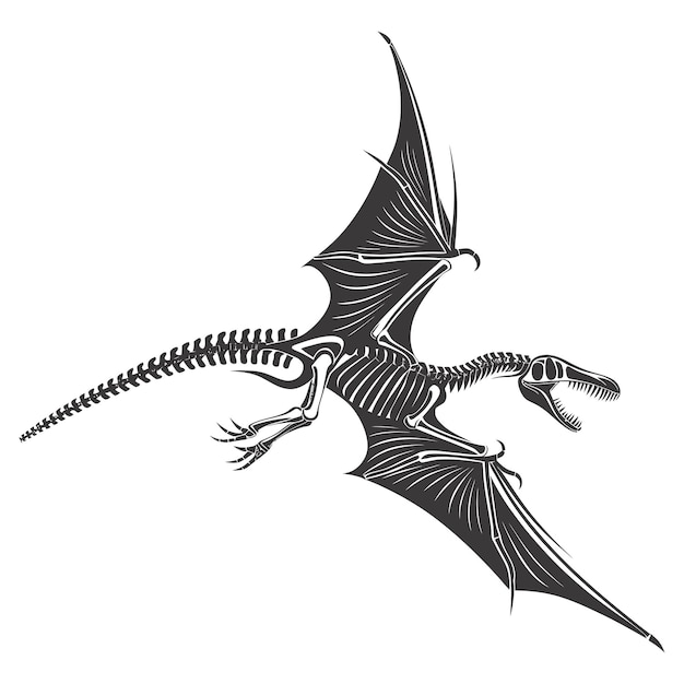 Силуэт скелета птеродактила динозавра только черный цвет