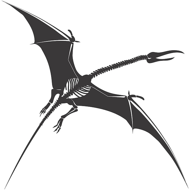 Silhouette dinosaur pterodactyl skeleton black color only