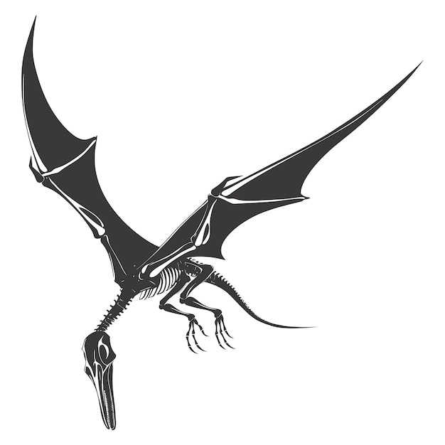 Silhouette scheletro di pterodattilo dinosauro solo colore nero