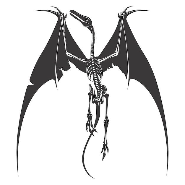 Vector silhouette dinosaur pterodactyl skeleton black color only