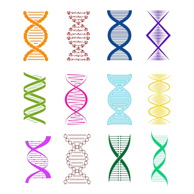 Silhouette dna scienza concetto genetico elemento decorativo stile di design diversi tipi illustrazione vettoriale della molecola silhouettes