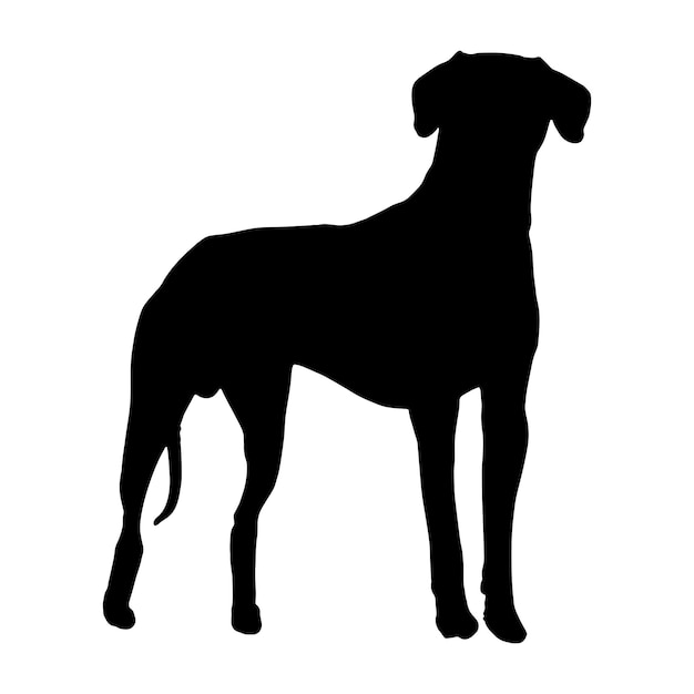 silhouette of a dog on a white background