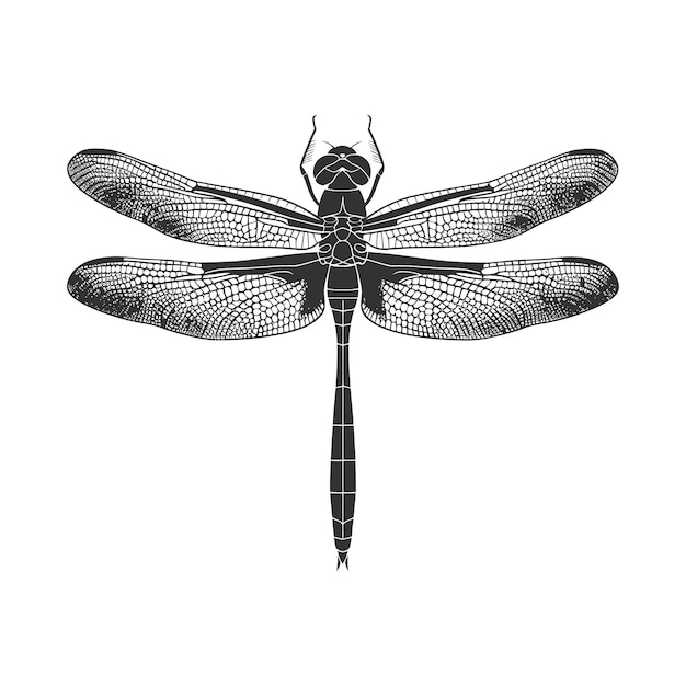 Silhouette Dragonfly black color only full body