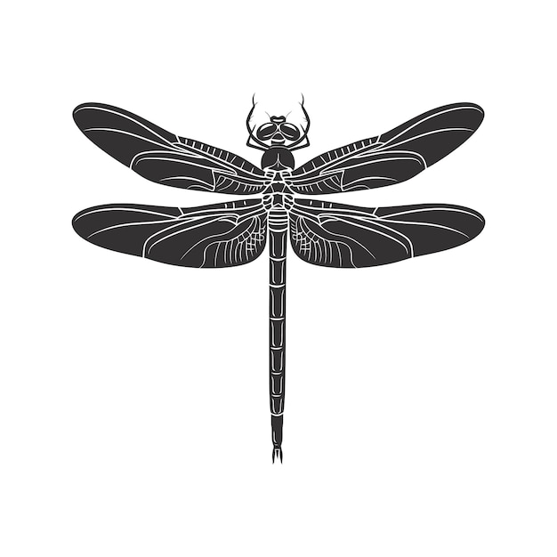 Vector silhouette dragonfly black color only full body