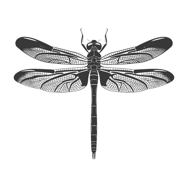 Silhouette dragonfly colore nero solo corpo intero