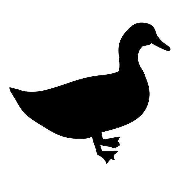 Silhouette duck bird on white background