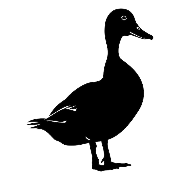 Vector silhouette duck black color only