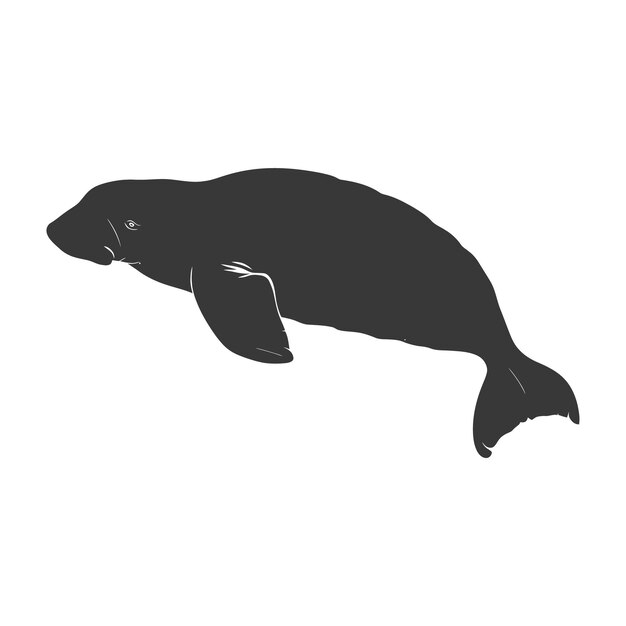 Vector silhouette dugong animal black color only