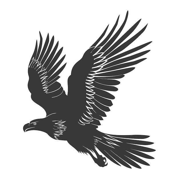 Silhouette eagle animal fly black color only full body