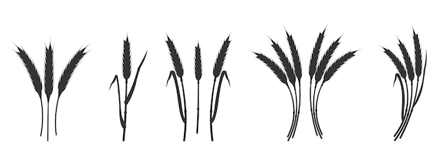 Vector silhouette ears wheat black shadow cereal plants