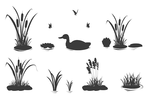 Элементы силуэта болотной травы с тростником и набором уток векторных иллюстраций черных теней