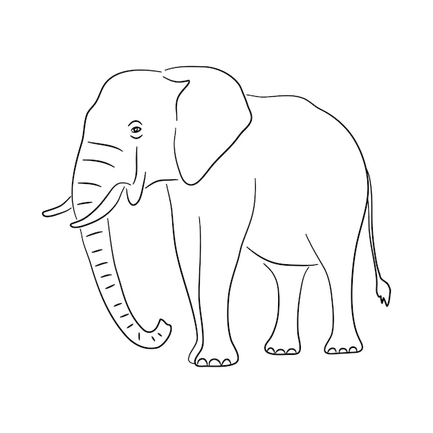 Vector silhouette of a elephant made in sketch style vector illustration