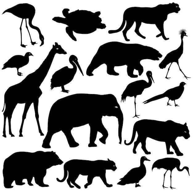 Vector silhouette elephant tiger bear giraffe flamingo pelican goose on a white background