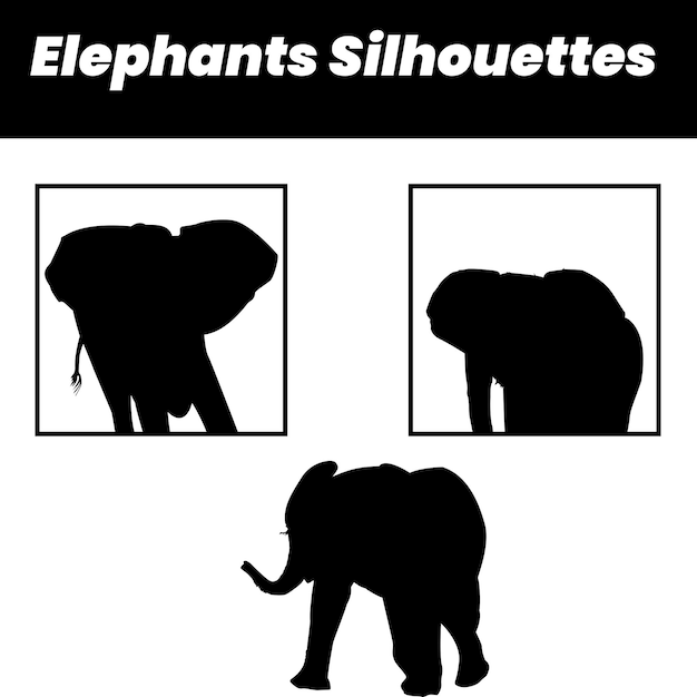 silhouette of an elephant