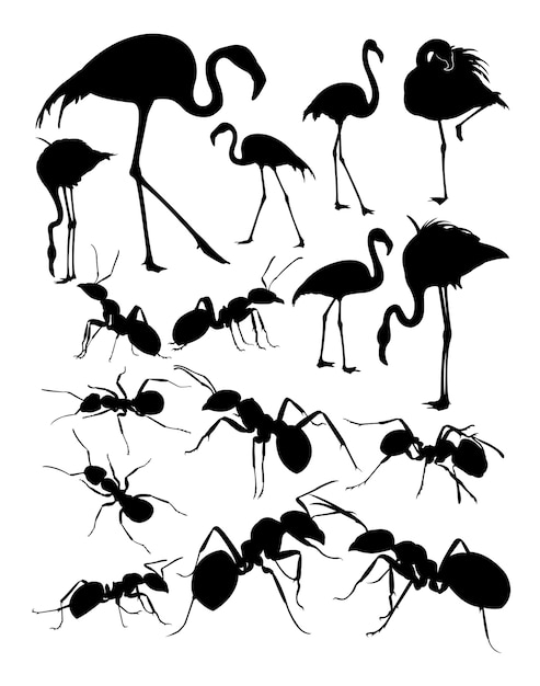 Silhouette of flamingo and ants