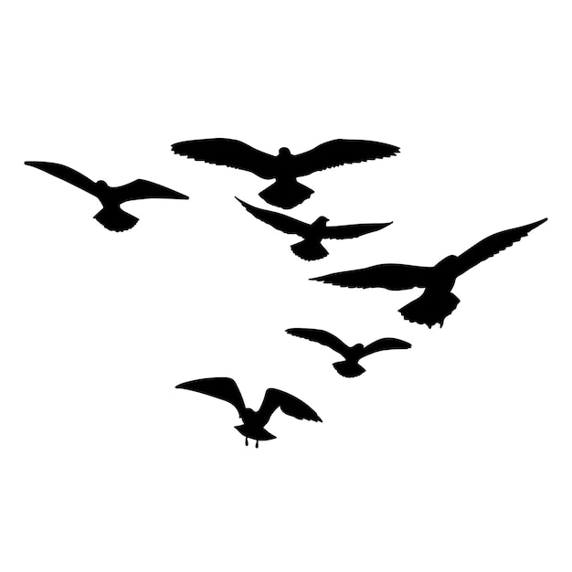 Vector silhouette of flock of flying birds