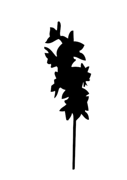 Силуэт цветочного растения на белом фоне Векторная иллюстрация в плоском стиле
