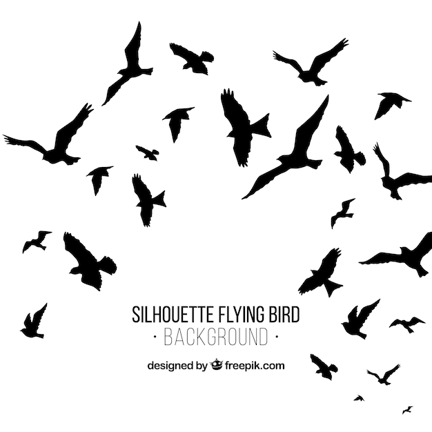 Silhouette flying bird background