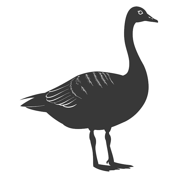 Vector silhouette goose animal black color only full body