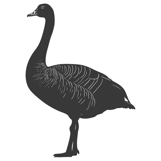 Silhouette goose animal black color only full body