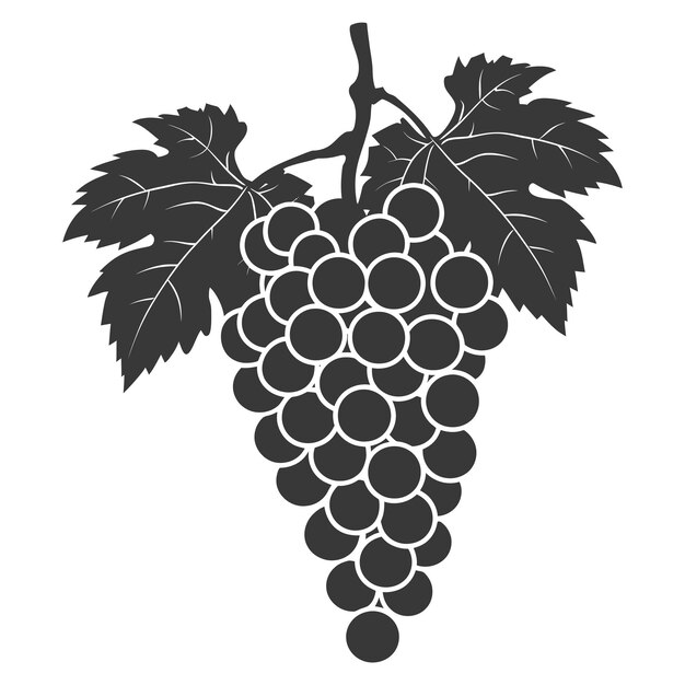 Vector silhouette grape fruit black color only