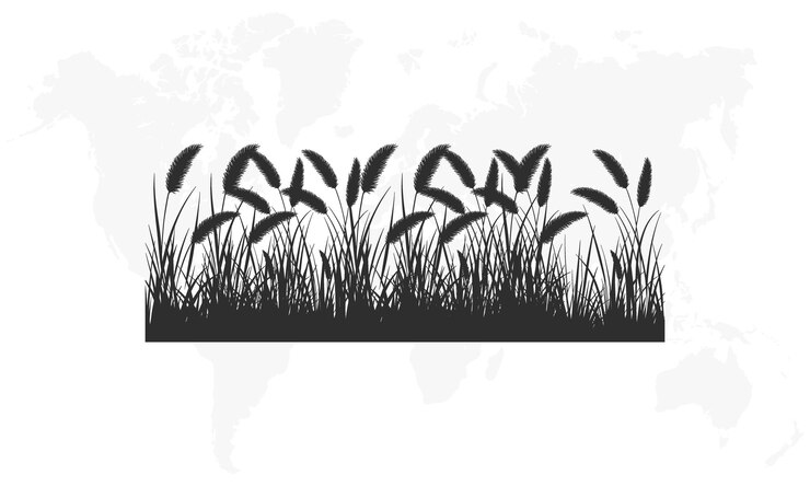 Vector silhouette of grass and plants in a field