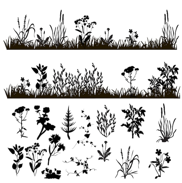 Silhouette of grass and plants, meadow on white background