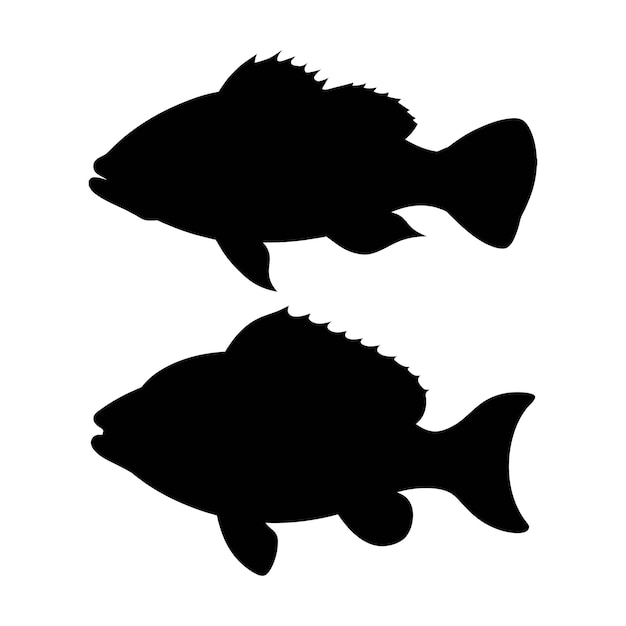 Silhouette di pesce grouper su bianco