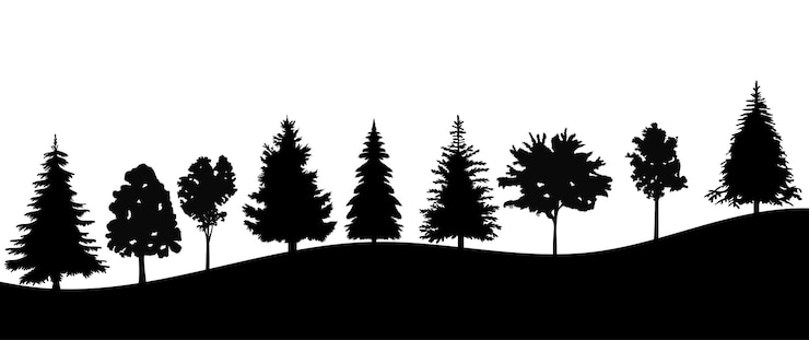 Vector silhouette growing trees design vector isolated