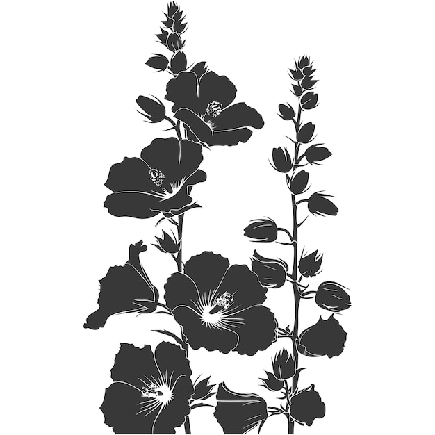 Vector silhouette hollyhocks flower black color only