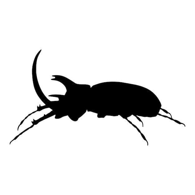 Silhouette of the horn beetle vector illustration