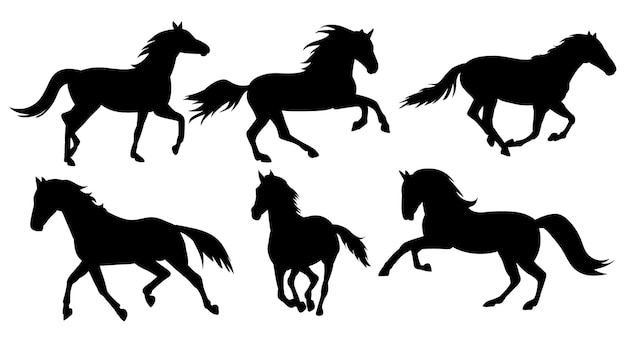 Vector silhouette horse set