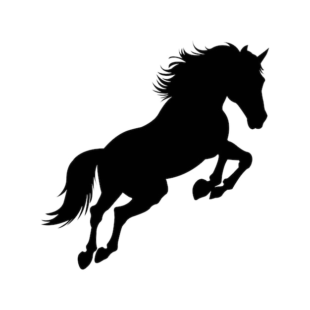 Vector silhouette of a horse on white