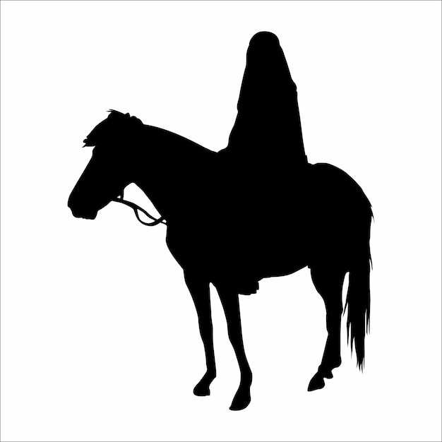 Silhouette of a horsewoman