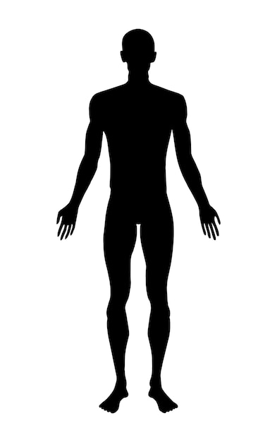 Vector silhouette of a human body