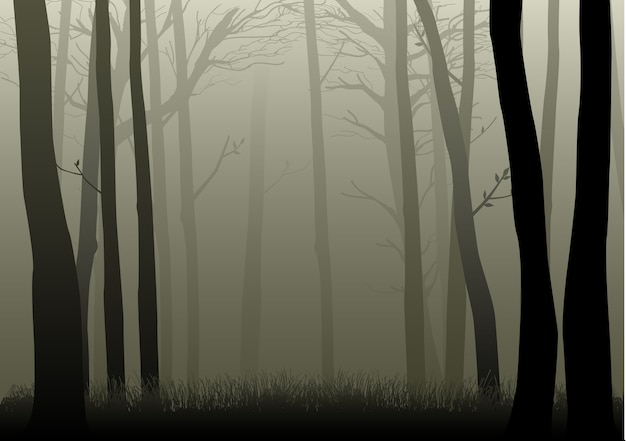 Vector silhouette illustration of misty woods