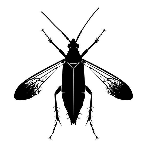 Vector silhouette insect or bug full body black color only