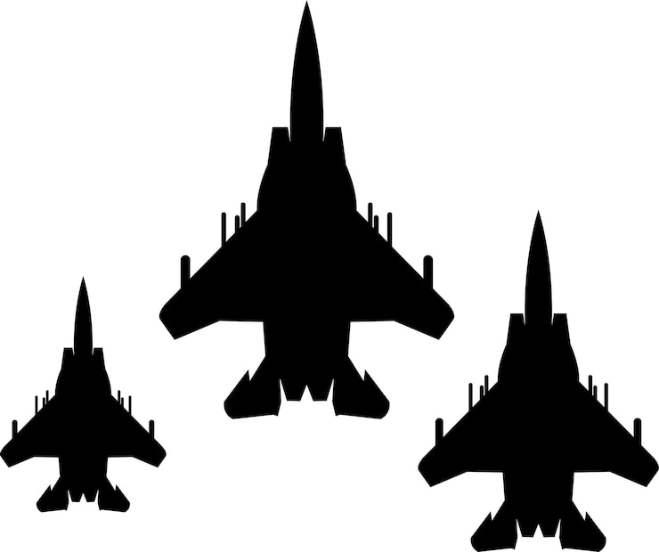 Vector silhouette jet